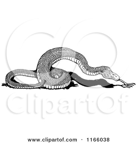 Clipart of a Retro Vintage Black and White Snake - Royalty Free Vector Illustration by Prawny Vintage