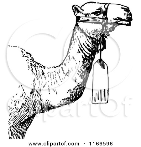 Clipart of a Retro Vintage Black and White Camel with a Tag - Royalty Free Vector Illustration by Prawny Vintage