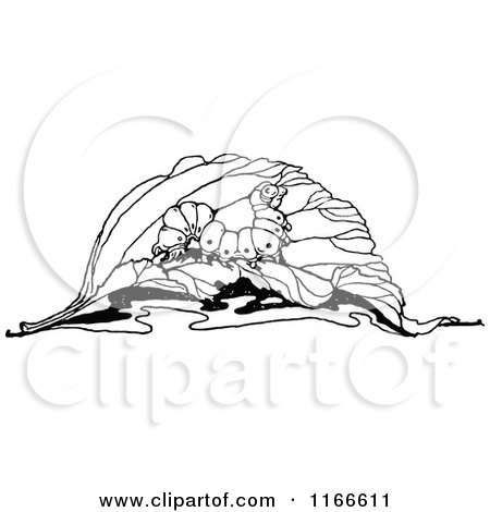 Clipart of a Retro Vintage Black and White Caterpillar on a Leaf - Royalty Free Vector Illustration by Prawny Vintage