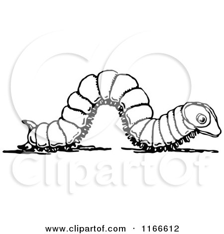 Clipart of a Retro Vintage Black and White Caterpillar - Royalty Free Vector Illustration by Prawny Vintage