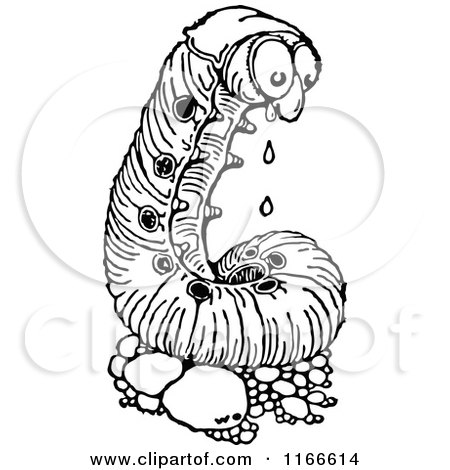Clipart of a Retro Vintage Black and White Caterpillar Drooling - Royalty Free Vector Illustration by Prawny Vintage