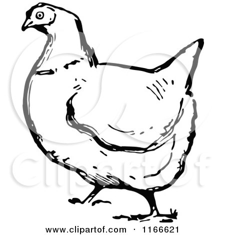 Clipart of a Retro Vintage Black and White Plump Hen - Royalty Free Vector Illustration by Prawny Vintage