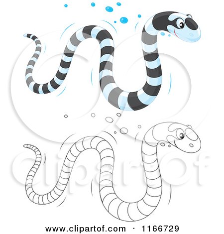 Cartoon of an Outlined and Colored Banded Sea Kraits Snake - Royalty Free Vector Clipart by Alex Bannykh