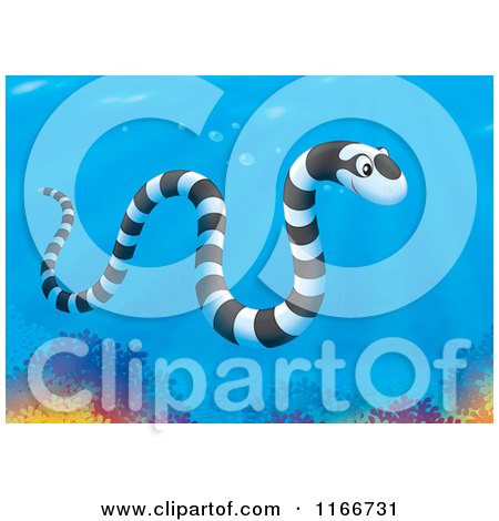 Cartoon of a Banded Sea Kraits Snake over Corals - Royalty Free Clipart by Alex Bannykh
