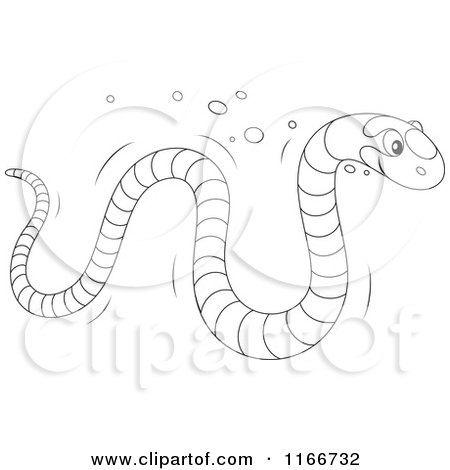 Cartoon of an Outlined Banded Sea Kraits Snake - Royalty Free Vector Clipart by Alex Bannykh