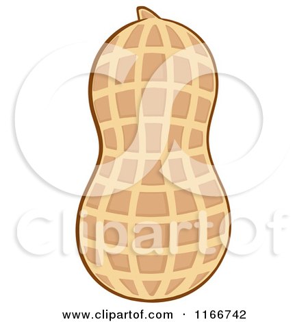 Cartoon of a Peanut - Royalty Free Vector Clipart by Hit Toon