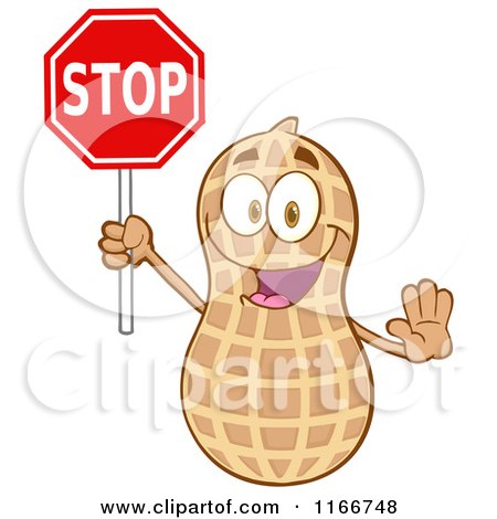 Cartoon of a Peanut Character Holding a Stop Sign - Royalty Free Vector Clipart by Hit Toon