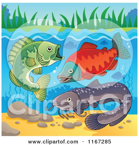 Cartoon of River Fish Underwater - Royalty Free Vector Clipart by visekart
