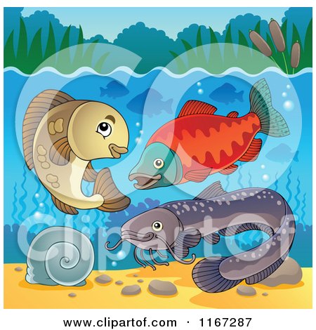 Cartoon of River Fish Underwater 2 - Royalty Free Vector Clipart by visekart