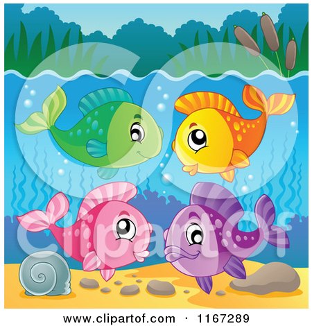 Cartoon of a Group of Colorful Freshwater Fish - Royalty Free Vector Clipart by visekart