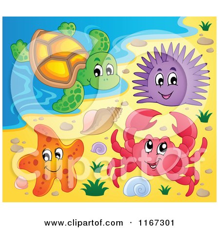 Cartoon of a Crab Starfish Sea Urchin and Turtle on a Beach - Royalty Free Vector Clipart by visekart
