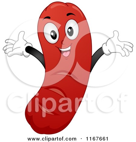 Cartoon of a Happy Hot Dog Mascot - Royalty Free Vector Clipart by BNP Design Studio