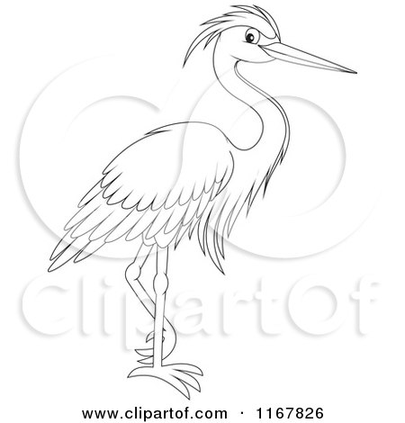 Cartoon of an Outlined Standing Heron - Royalty Free Vector Clipart by Alex Bannykh
