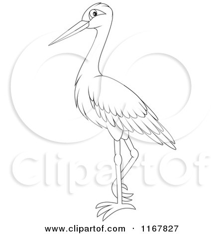 Cartoon of a Standing Outlined Stork - Royalty Free Vector Clipart by Alex Bannykh