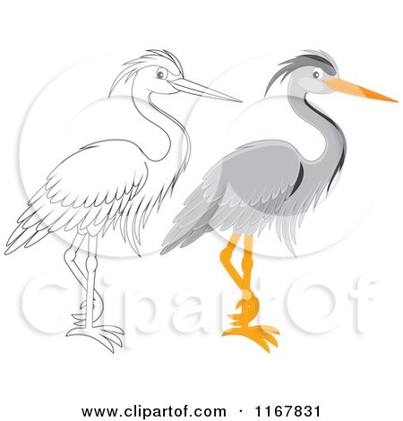 Cartoon of a Colored and Outlined Standing Gray Heron - Royalty Free Vector Clipart by Alex Bannykh