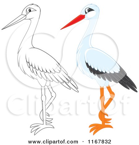 Cartoon of a Standing Outlined and White Stork - Royalty Free Vector Clipart by Alex Bannykh