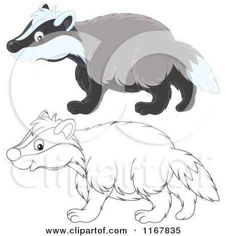 Cartoon of a Cute Outlined and Colored Badger Walking in Profile - Royalty Free Vector Clipart by Alex Bannykh