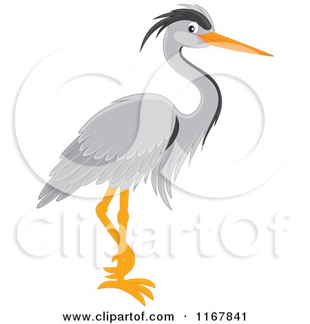 Cartoon of a Standing Gray Heron - Royalty Free Vector Clipart by Alex Bannykh