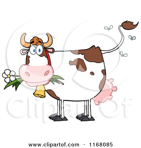 Cartoon of a Stinky Cow with Flies - Royalty Free Vector Clipart by Hit Toon