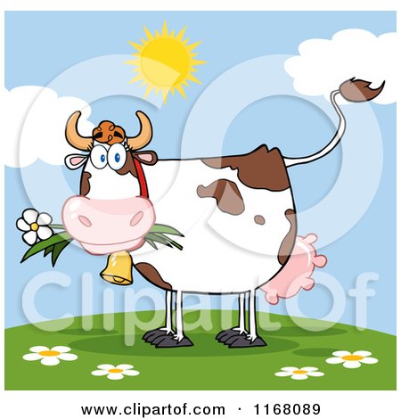 Cartoon of a Cow Eating a Daisy Flower on a Hill - Royalty Free Vector Clipart by Hit Toon