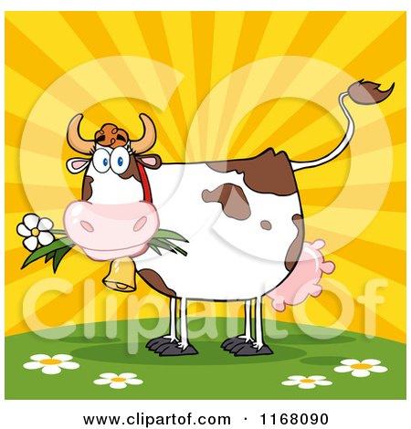 Cartoon of a Cow Eating a Daisy Flower Against a Sunset - Royalty Free Vector Clipart by Hit Toon