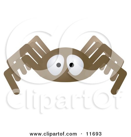 Brown Spider Clipart Illustration by AtStockIllustration