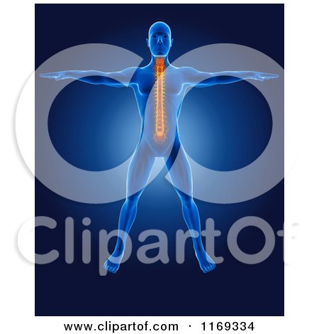 Clipart of a 3d Blue Man with a Highlighted Spine - Royalty Free CGI Illustration by KJ Pargeter