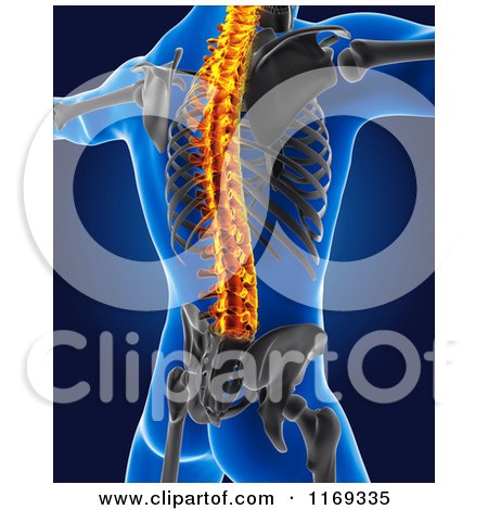 Clipart of a 3d Blue Male Skeleton Xray of a Highlighted Spine - Royalty Free CGI Illustration by KJ Pargeter