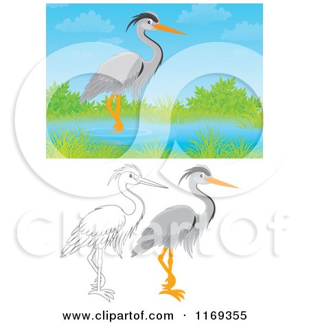 Cartoon of a Wading Gray Heron with Color and Outlined Poses - Royalty Free Clipart by Alex Bannykh