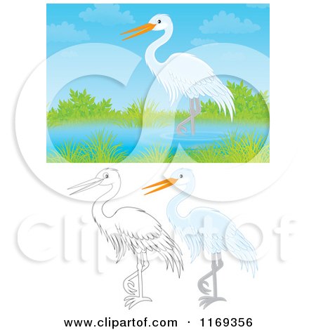 Cartoon of a Wading White Heron or Egret with Color and Outlined Poses - Royalty Free Clipart by Alex Bannykh
