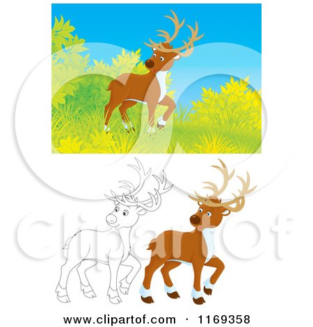 Cartoon of a Wild Deer near Shrubs with Color and Outlined Poses - Royalty Free Clipart by Alex Bannykh