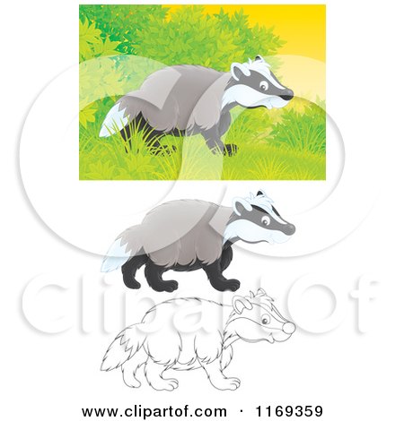 Cartoon of a Wild Badger near Shrubs with Color and Outlined Poses - Royalty Free Clipart by Alex Bannykh