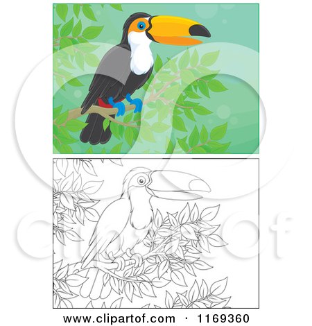 Cartoon of an Outlined and Colored Toucan Bird Perched in a Tree - Royalty Free Vector Clipart by Alex Bannykh