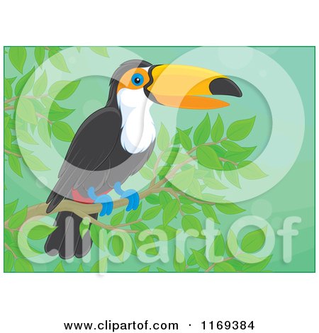 Cartoon of a Toucan Bird Perched in a Green Tree - Royalty Free Vector Clipart by Alex Bannykh
