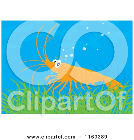 Cartoon of a Cute Shrimp in Aquatic Grass - Royalty Free Vector Clipart by Alex Bannykh