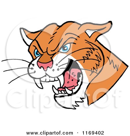 Cartoon of a Hissing Cougar Head - Royalty Free Vector Clipart by LaffToon