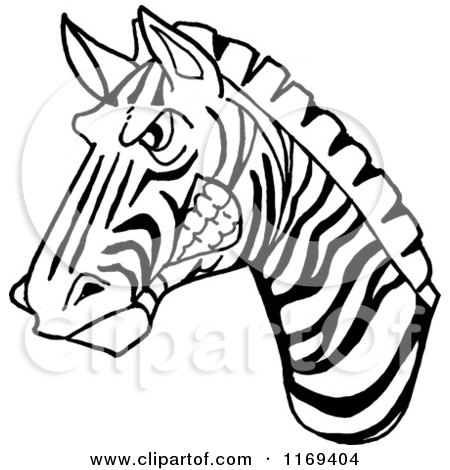 Cartoon of a Black and White Aggressive Zebra Head - Royalty Free Vector Clipart by LaffToon