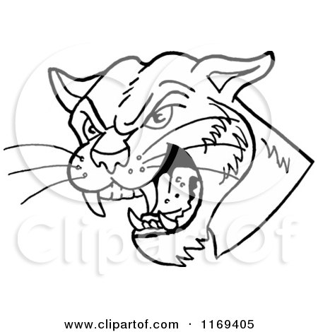 Cartoon of a Black and White Hissing Cougar Head - Royalty Free Vector Clipart by LaffToon