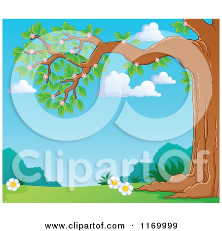 Cartoon of a Blossoming Tree Branch over a Spring Meadow - Royalty Free Vector Clipart by visekart
