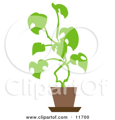 Potted House Plant Clipart Illustration by AtStockIllustration