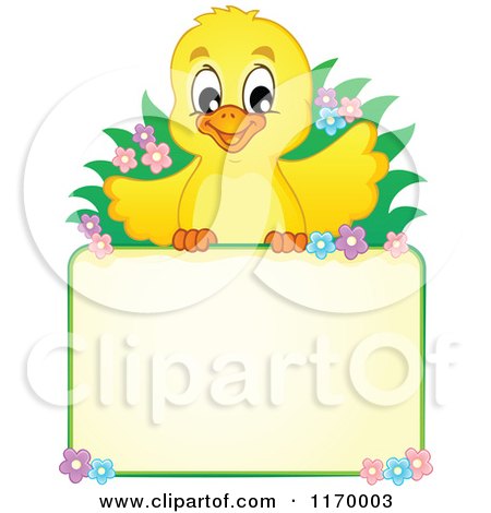 Cartoon of a Happy Cute Yellow Chick over a Sign - Royalty Free Vector Clipart by visekart