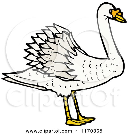 Cartoon of a Swan - Royalty Free Vector Illustration by lineartestpilot