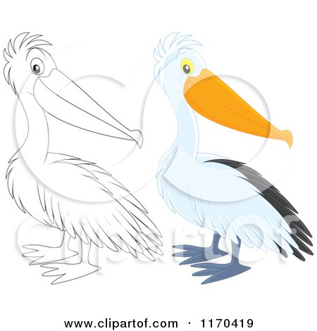 Cartoon of a Cute Pelican Bird in Color and Black and White - Royalty Free Vector Clipart by Alex Bannykh