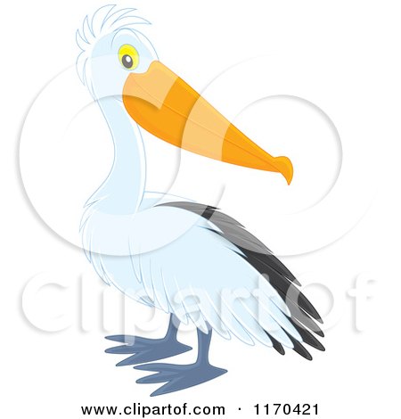 Cartoon of a Cute Pelican Bird - Royalty Free Vector Clipart by Alex Bannykh