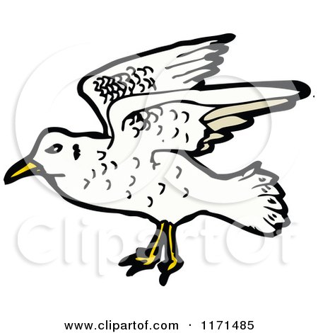 Cartoon of a Seagull - Royalty Free Vector Illustration by lineartestpilot