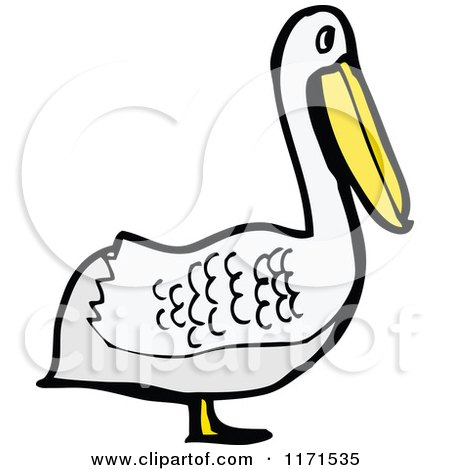 Cartoon of a Pelican - Royalty Free Vector Illustration by lineartestpilot