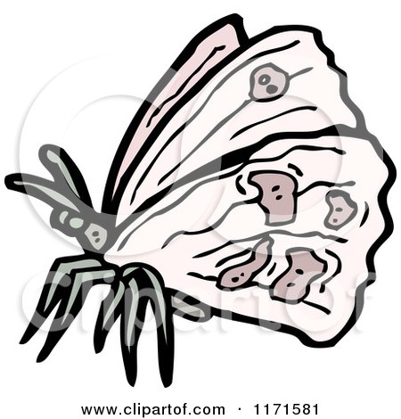 Cartoon of a Moth - Royalty Free Vector Illustration by lineartestpilot