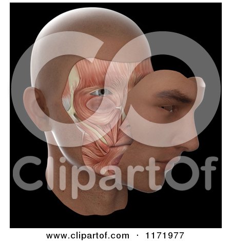 Clipart of a 3d Face with Skin Moved to Display Muscles Underneath, on Black - Royalty Free CGI Illustration by Mopic