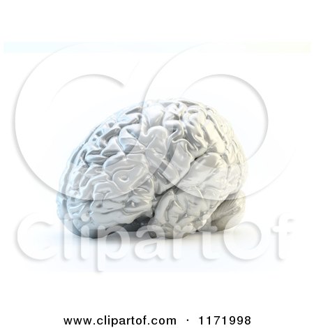 Clipart of a 3d Shiny Silver Human Brain - Royalty Free CGI Illustration by Mopic