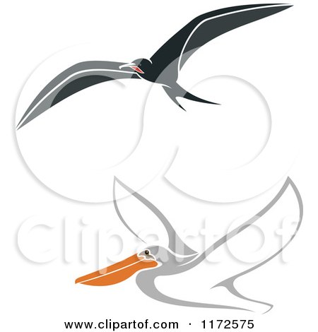 Clipart of a Flying Albatross and Pelican - Royalty Free Vector Illustration by Vector Tradition SM
